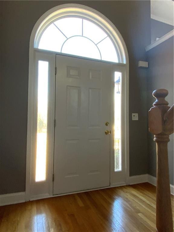 foyer with plenty of natural light and hardwood / wood-style flooring