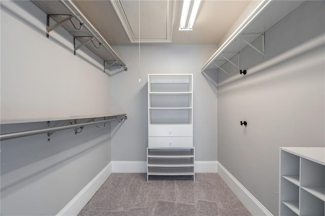 2767 Durham Dr NE, Atlanta, GA 30319 - walk in closet featuring attic access and carpet