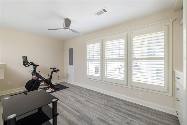 exercise room with hardwood / wood-style flooring, ceiling fan, and electric panel