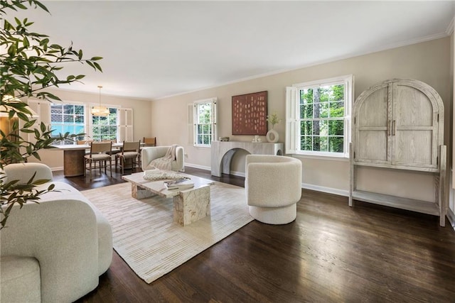 living area featuring baseboards, dark wood-type flooring, and crown molding