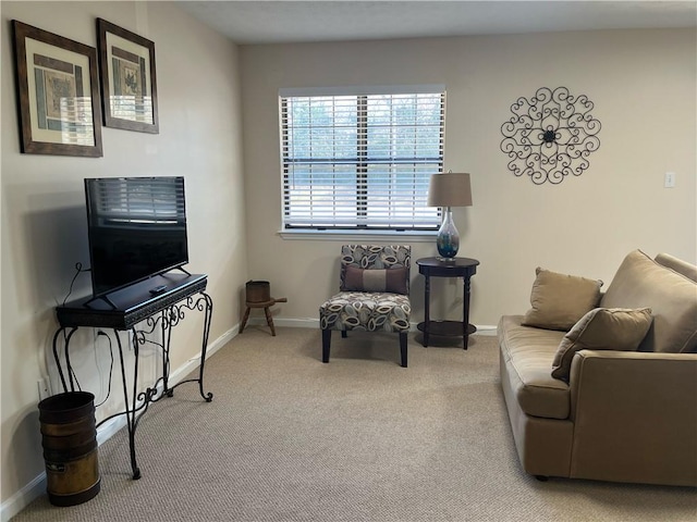 sitting room with carpet floors and baseboards