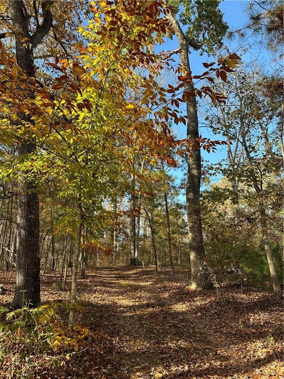 0 Theodore Cox Cir, Canton, GA 30114