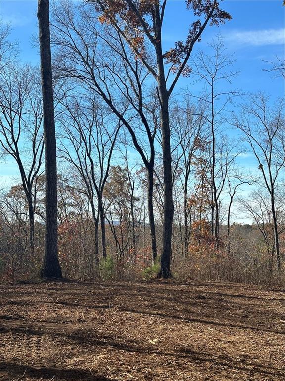 0 Theodore Cox Cir, Canton, GA 30114