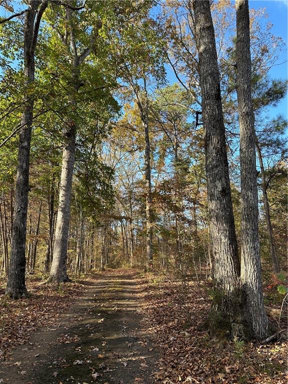 0 Theodore Cox Cir, Canton, GA 30114