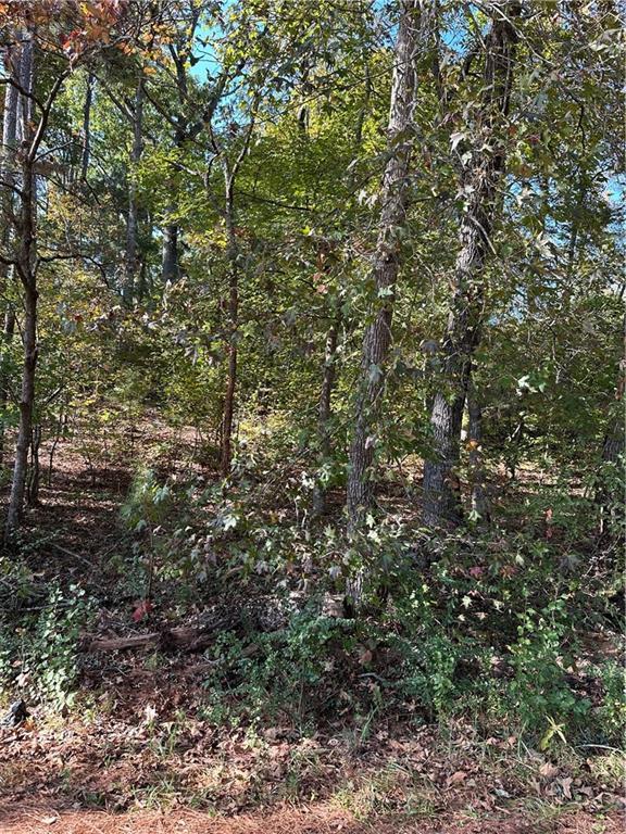 0 Theodore Cox Cir, Canton, GA 30114