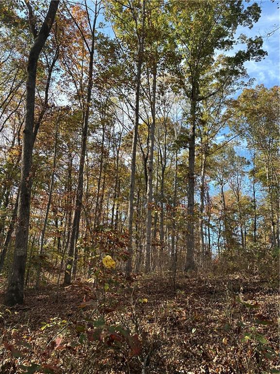 0 Theodore Cox Cir, Canton, GA 30114