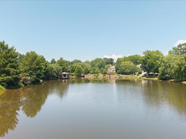 1630 Reindeer Rdg, Alpharetta, GA 30005 - water view