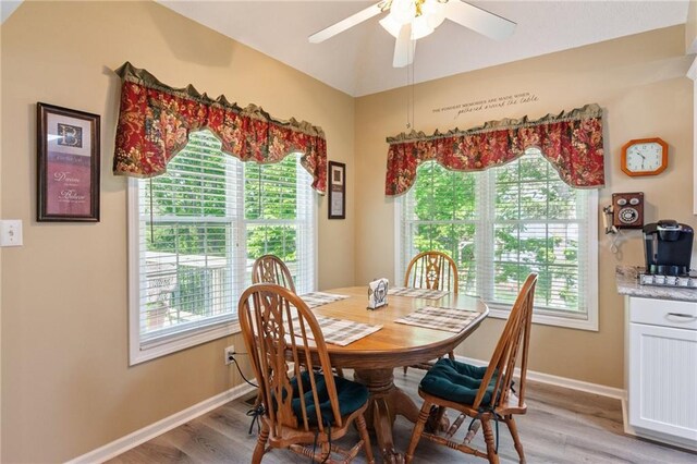 dining space with plenty of natural light and light wood-type flooring