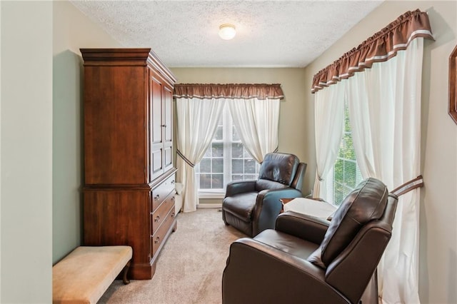 living area featuring light colored carpet and a textured ceiling