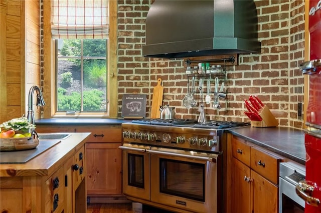 kitchen with sink, hardwood / wood-style floors, island range hood, and stainless steel appliances