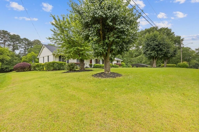 256 Teresa Ln, Loganville, GA 30052 - view of green lawn