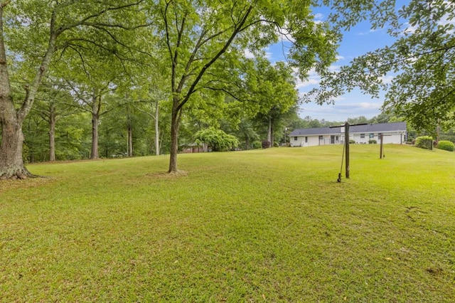 256 Teresa Ln, Loganville, GA 30052 - view of green lawn