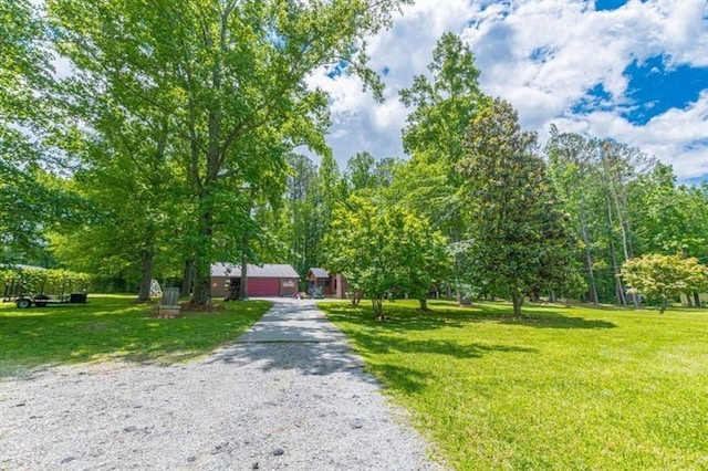 view of property's community with a yard