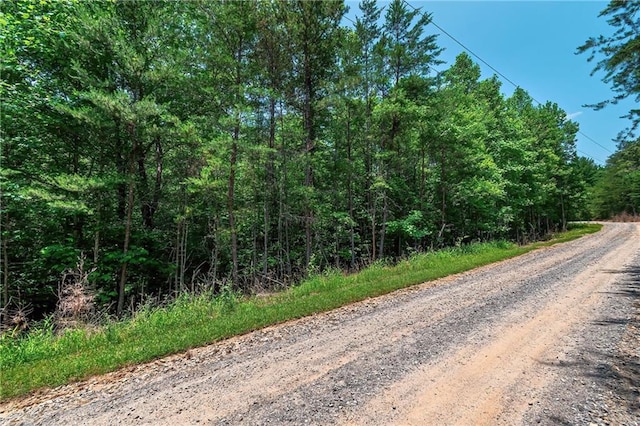 3.35AC Pine Ln, Mineral Bluff GA, 30559 land for sale