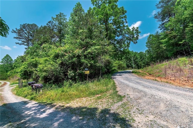 Listing photo 2 for 3.35AC Pine Ln, Mineral Bluff GA 30559