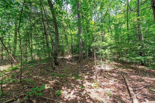 Listing photo 3 for 3.35AC Pine Ln, Mineral Bluff GA 30559