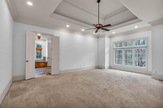 carpeted spare room featuring a tray ceiling, a healthy amount of sunlight, and ceiling fan