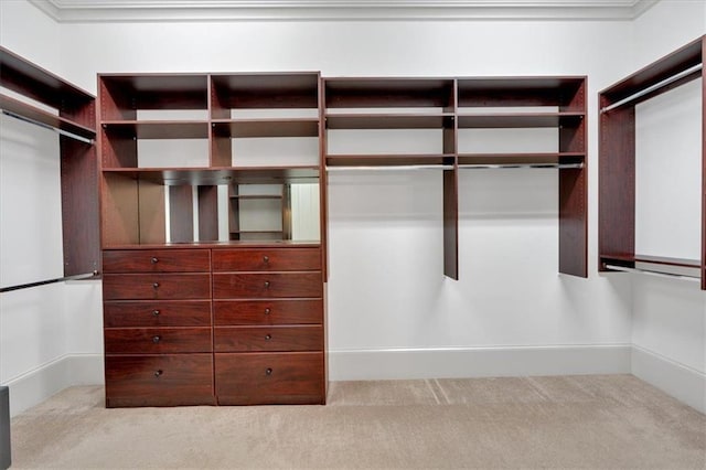 walk in closet with carpet floors