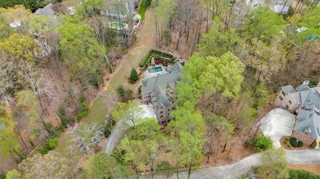 bird's eye view