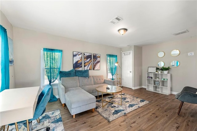 living room featuring wood-type flooring