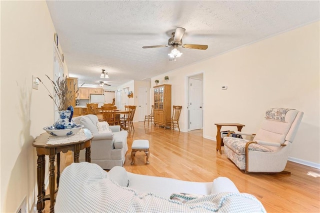 479 Deerpath Dr, Sautee Nacoochee, GA 30571 - living room featuring a ceiling fan, a textured ceiling, and light wood-style flooring
