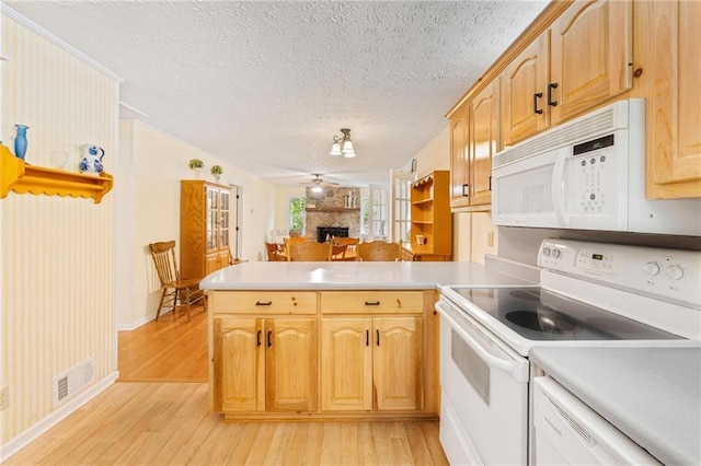 479 Deerpath Dr, Sautee Nacoochee, GA 30571 - kitchen featuring white appliances, a peninsula, light wood-type flooring, light countertops, and open floor plan