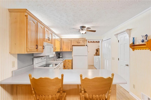 479 Deerpath Dr, Sautee Nacoochee, GA 30571 - kitchen featuring white appliances, ceiling fan, ornamental molding, light countertops, and a peninsula