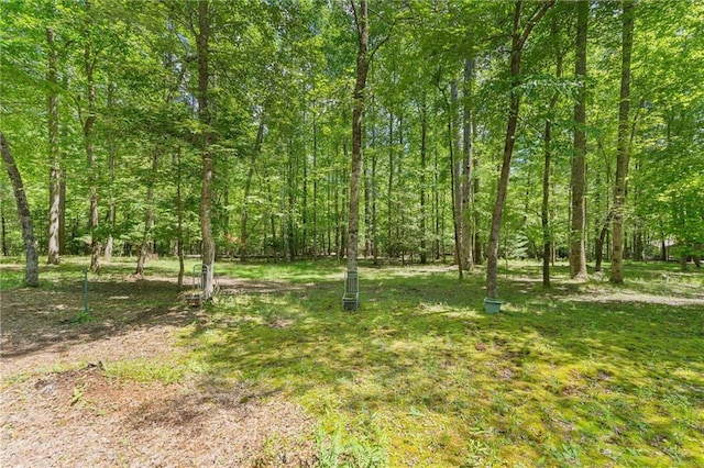 479 Deerpath Dr, Sautee Nacoochee, GA 30571 - view of woods