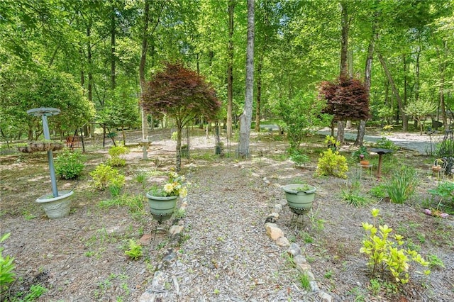 479 Deerpath Dr, Sautee Nacoochee, GA 30571 - view of yard