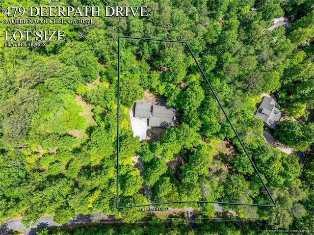 479 Deerpath Dr, Sautee Nacoochee, GA 30571 - view of property location with property parcel outlined