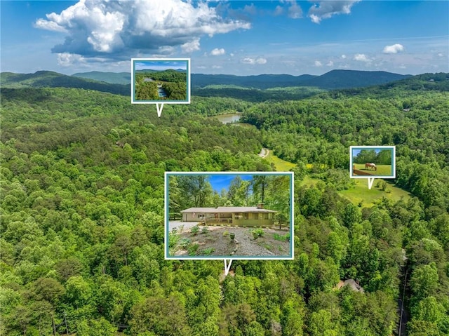 479 Deerpath Dr, Sautee Nacoochee, GA 30571 - aerial view of property and surrounding area featuring property parcel outlined and mountains