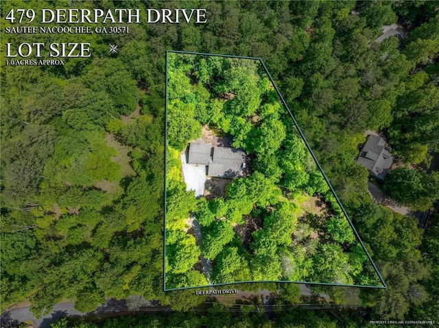 479 Deerpath Dr, Sautee Nacoochee, GA 30571 - aerial view of property and surrounding area with property boundaries highlighted