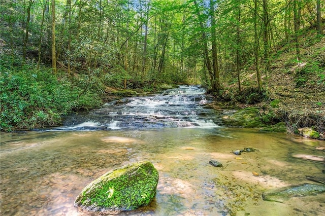 479 Deerpath Dr, Sautee Nacoochee, GA 30571 - view of yard featuring a forest view