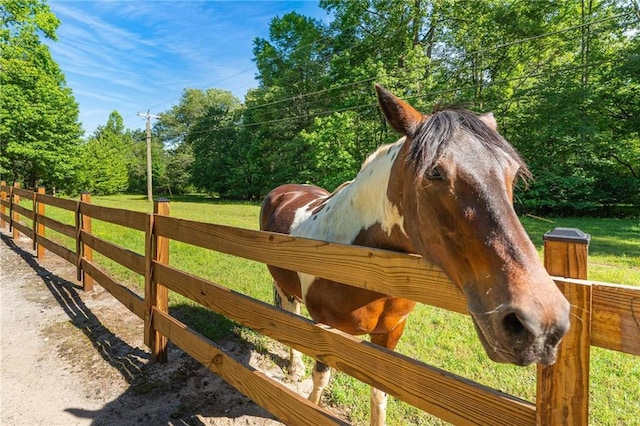 479 Deerpath Dr, Sautee Nacoochee, GA 30571 - view of horse barn