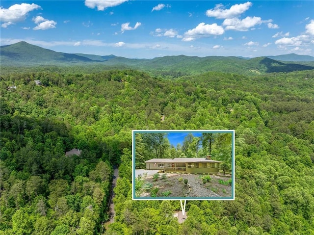 479 Deerpath Dr, Sautee Nacoochee, GA 30571 - aerial view of property's location with property parcel outlined