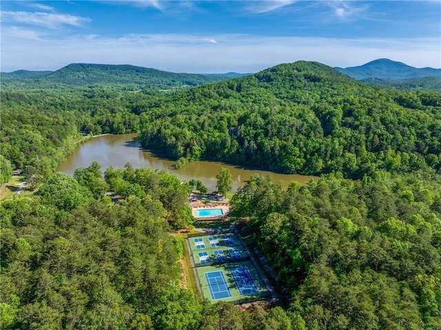 479 Deerpath Dr, Sautee Nacoochee, GA 30571 - aerial view of property's location featuring a heavily wooded area and a water and mountain view