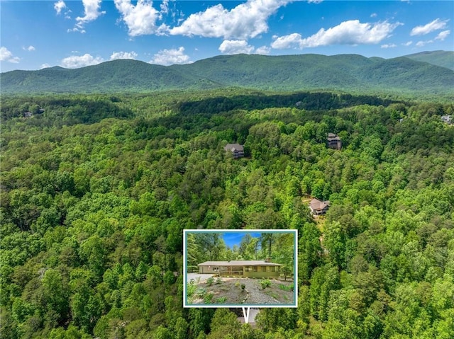 479 Deerpath Dr, Sautee Nacoochee, GA 30571 - aerial view of property and surrounding area featuring a heavily wooded area and property parcel outlined