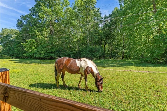 479 Deerpath Dr, Sautee Nacoochee, GA 30571 - exterior view