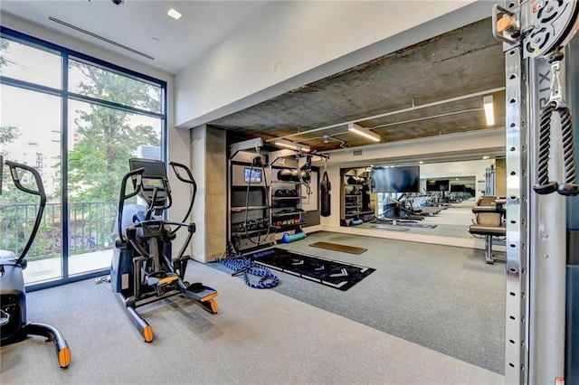 workout area featuring carpet