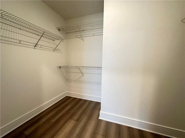walk in closet with dark wood-style flooring