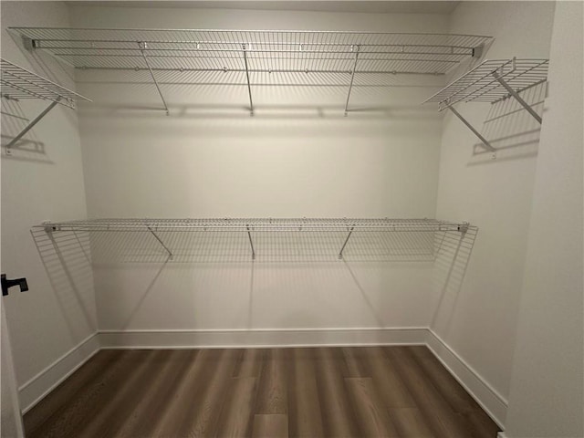 spacious closet with wood finished floors