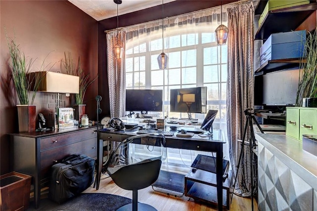 office area featuring a healthy amount of sunlight and wood finished floors