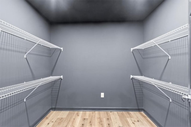 spacious closet with wood-type flooring