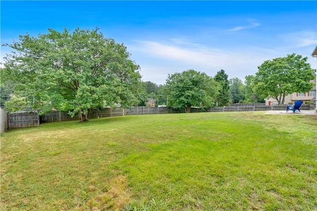 view of yard