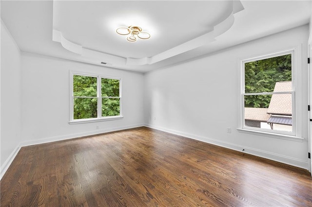 1217 Cabin Bridge Rd, Bethlehem, GA 30620 - empty room with a tray ceiling, healthy amount of natural light, dark wood finished floors, and baseboards