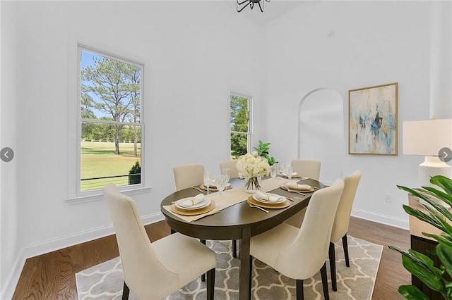 1217 Cabin Bridge Rd, Bethlehem, GA 30620 - dining area featuring plenty of natural light, wood finished floors, and a high ceiling