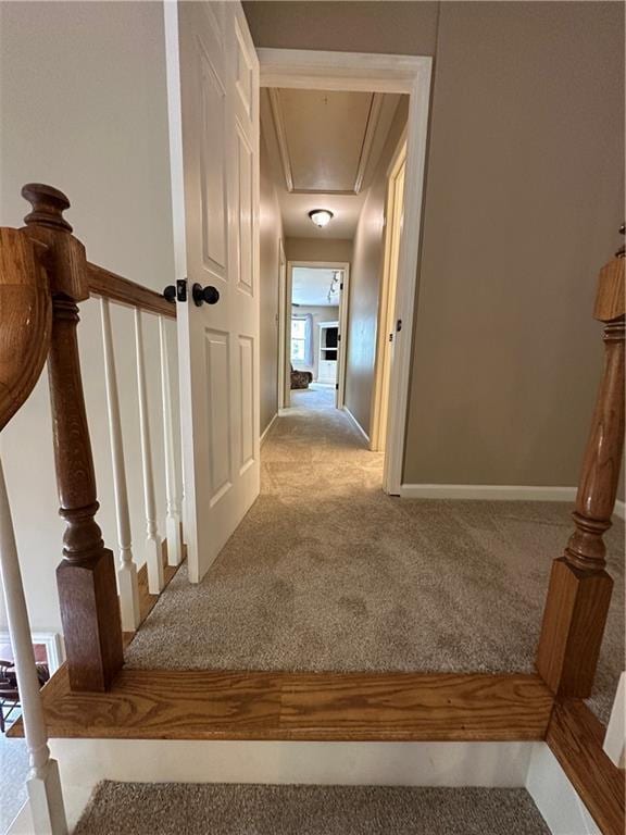 3962 Fox Glen Dr, Woodstock, GA 30189 - hall featuring carpet flooring, attic access, and an upstairs landing