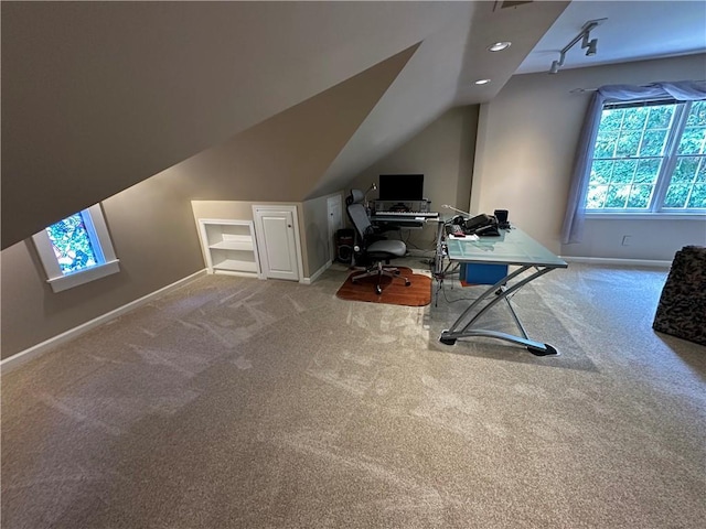 3962 Fox Glen Dr, Woodstock, GA 30189 - office space featuring plenty of natural light, carpet flooring, lofted ceiling, and track lighting