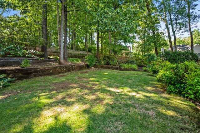 2610 Chadwick Rd, Marietta, GA 30066 - view of yard