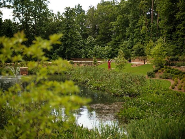 7210 Summit Pl, Alpharetta, GA 30009 - water view